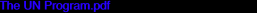 The UN Program.pdf